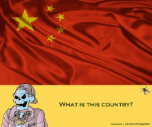 a cartoon of a skeleton in front of a chinese flag with the question " what is this country " at the bottom