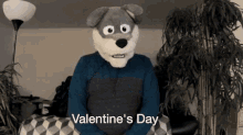 a stuffed animal says valentine 's day in a video