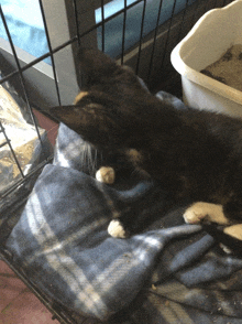 a cat is laying on a blanket in a cage next to a litter box