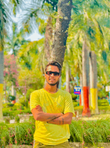 a man wearing sunglasses and a yellow shirt stands in front of a palm tree