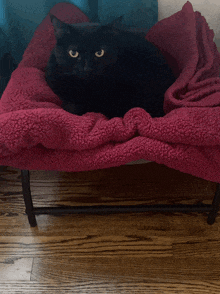 a black cat laying on a pink blanket on a chair