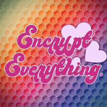 a colorful background with the words " encrypt everything "