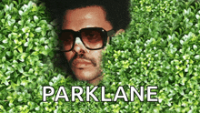 a man wearing sunglasses and a mustache is surrounded by green plants and the words parklane