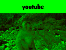 a green background with a monkey and the words youtube