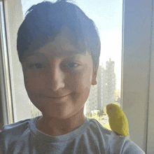 a young boy holds a yellow bird on his shoulder