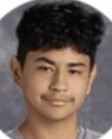 a young man with curly hair and a beard is looking at the camera .