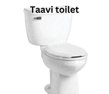 a white toilet with the words taavi toilet on it