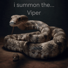 a picture of a snake with the words " i summon the viper " below it