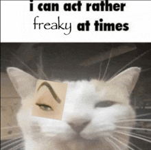 a cat with a picture of a woman 's eye and the words " i can act rather freaky at times " below it