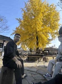 a man sits on a stump in front of a tree that has yellow leaves