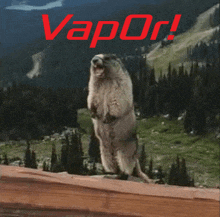 a ground squirrel standing on its hind legs with the word vapor in red letters