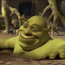 shrek is smiling while laying on the ground in the dirt .