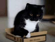 a black and white cat is sitting in a cardboard box looking at the camera .