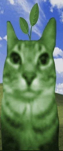 a green cat with a plant on its head .