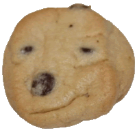 a cookie that looks like a dog with chocolate chips on it