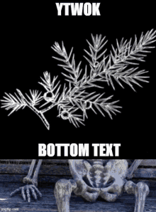 a skeleton is sitting on a wooden table next to a christmas tree branch with the caption bottom text