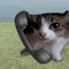 a cat is talking on a telephone while standing in the grass .