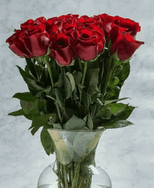 a clear vase filled with red roses and greenery