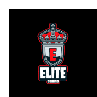 a logo for the elite squad with a crown