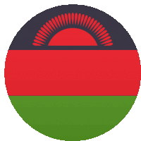 a red green and black circle with a sun on top