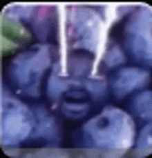 a pile of blueberries with a man 's face in the middle of them .