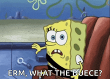 a cartoon of spongebob saying " erm, what the duece "