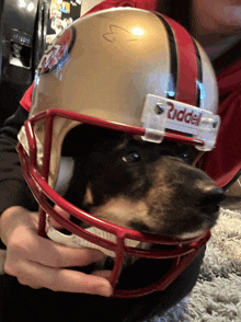 a dog wearing a riddell football helmet is being held in someone 's arms