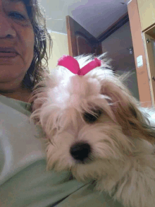 a woman is holding a small white dog with a pink bow in its hair