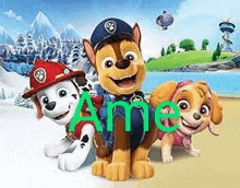 a group of paw patrol dogs are sitting next to each other on a beach .