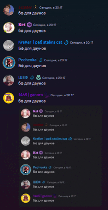 a screenshot of a conversation between ket and pechenka at 20:17