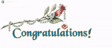 the word congratulations is on a white background with a flower