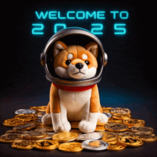 a stuffed dog wearing a helmet sits in a pile of coins with the words welcome to 2025 behind him