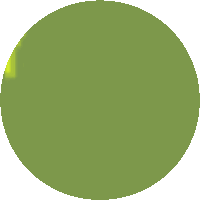 a green circle on a white background with a yellow glow in the middle