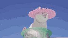 a white cat wearing a pink hat looks up at the sky