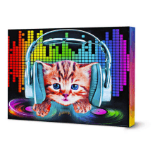 a painting of a kitten wearing headphones and a rainbow background