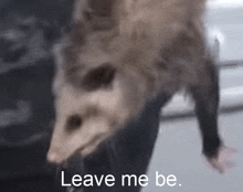 an opossum is being held in someone 's hand with the words " leave me be " next to it