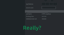 a screen shot of a program that says ' really ' at the bottom