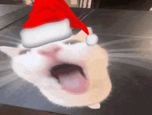 a cat wearing a santa hat with its tongue out