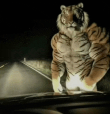 a stuffed tiger is standing on the side of the road