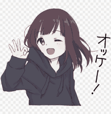 a girl in a black hoodie is giving an okay sign