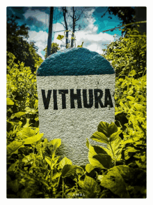 a stone in the middle of a lush green forest says vithura