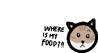 a drawing of a cat with the words where is my food