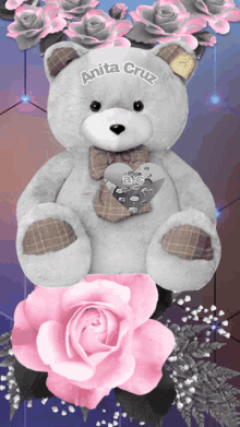 a teddy bear with anita cruz written on it is surrounded by pink roses