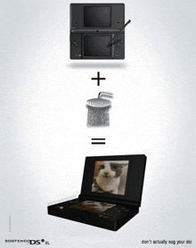 an ad for the nintendo ds xl shows a picture of a cat