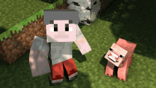 a picture of a minecraft character and a pig