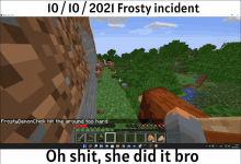 a screenshot of a minecraft game with the words oh shit she did it bro