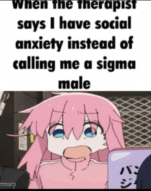 when the therapist says i have social anxiety instead of calling me a sigma male is a meme