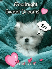 a puppy is sleeping under a blanket with the words goodnight sweet dreams love you on the bottom