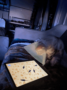 a cat laying on a bed next to a tablet that has a picture of cheese on it