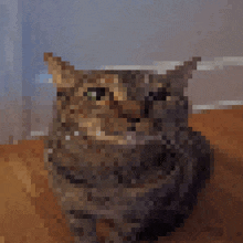 a pixelated image of a cat sitting on a table